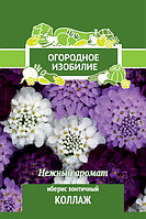 Иберис Коллаж зонтичный 0,5г 40см (Поиск) Огородное изобилие