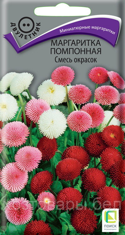 Маргаритка Смесь окрасок помпонная 0,05г Дв 15см (Поиск)