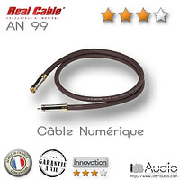 Коаксиальный кабель Real Cable AN 99