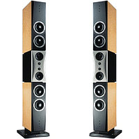 Акустическая система Dynaudio EVIDENCE TEMPTATION BIRD'S EYE
