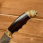 Нож разделочный в кожаном футляре Кизляр России Дамасская сталь Кабан, фото 9