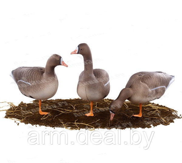 Чучела гусей Белолобые Buick Decoys EB20 (10 шт.) - фото 1 - id-p201469498