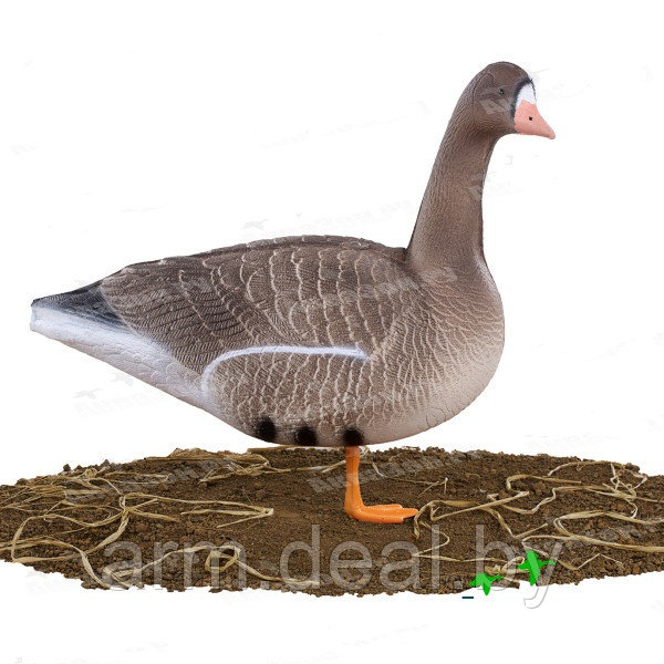 Чучела гусей Белолобые Buick Decoys EB20 (10 шт.) - фото 4 - id-p201469498