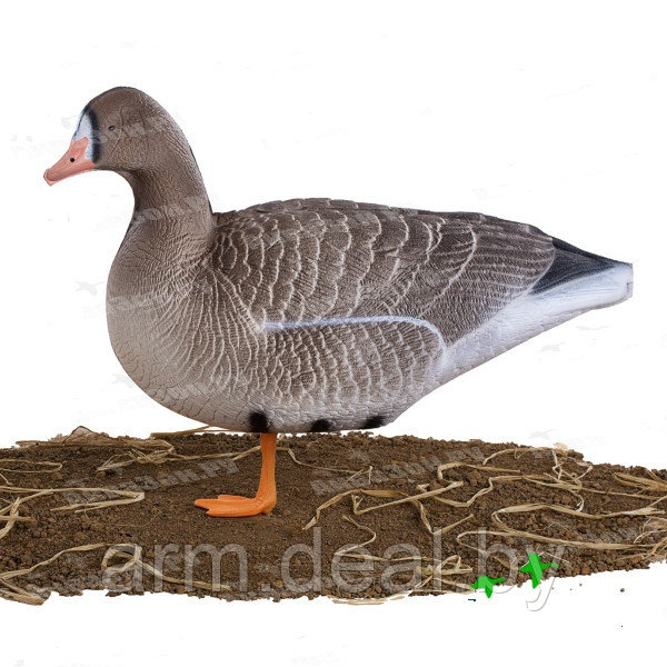 Чучела гусей Белолобые Buick Decoys EB20 (10 шт.) - фото 3 - id-p201469498