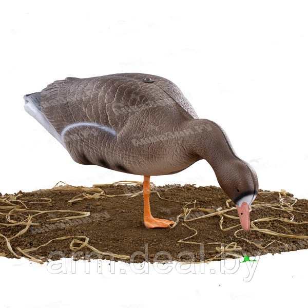 Чучела гусей Белолобые Buick Decoys EB20 (10 шт.) - фото 2 - id-p201469498