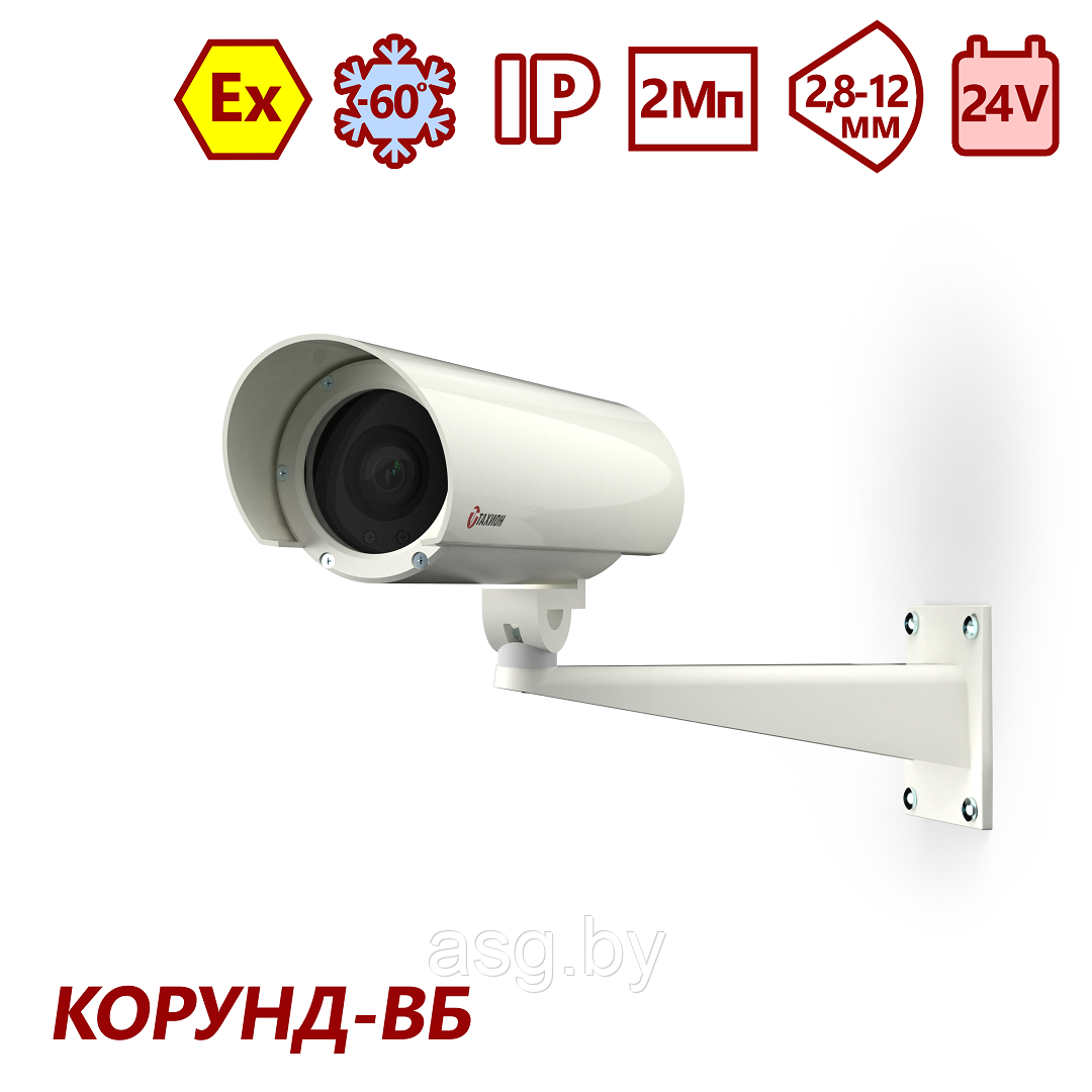 Тахион ТВК-61IP-4МВБ-V2812-24VDC (2.8-12 mm)