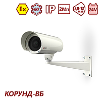 Тахион ТВК-61IP-4МВБ-V2812-24VDC (2.8-12 mm)