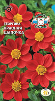 Георгина КРАСНАЯ ШАПОЧКА, 0.2г