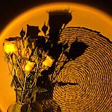 Проекционный светильник Golden Sunset Lamp LED  / тик ток лампа, фото 4