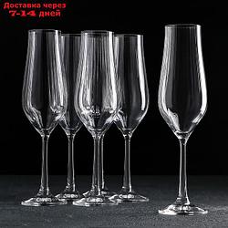Набор бокалов для шампанского 170 мл "Тулипа", 6 шт