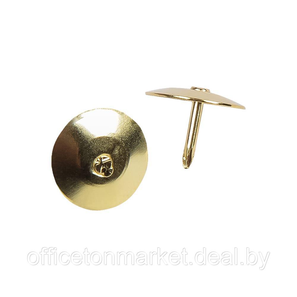 Кнопки канцелярские Maped, 10 мм, 100 шт, золотистый - фото 3 - id-p201528293