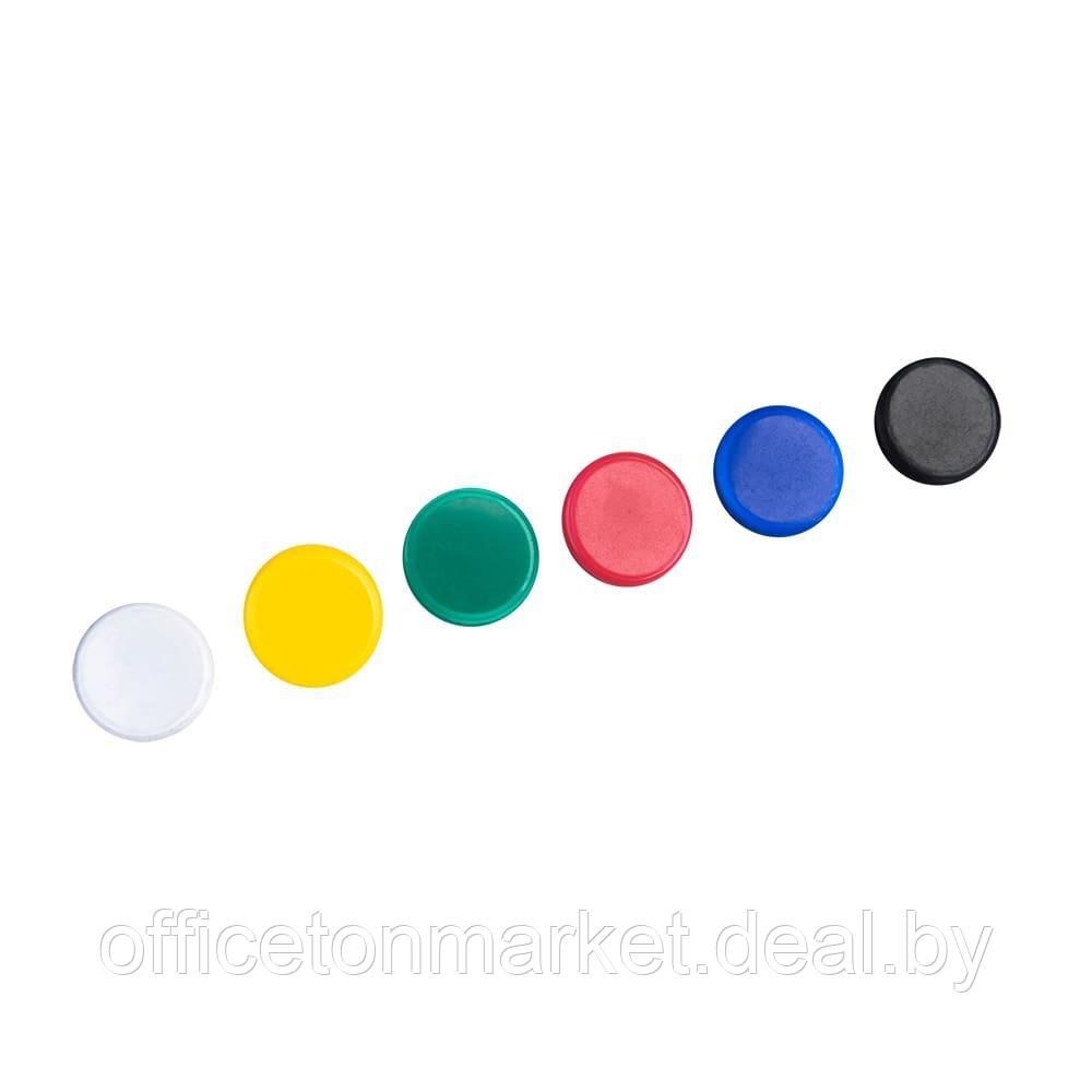 Кнопки канцелярские цветные Maped, 100 шт, ассорти - фото 3 - id-p201528294