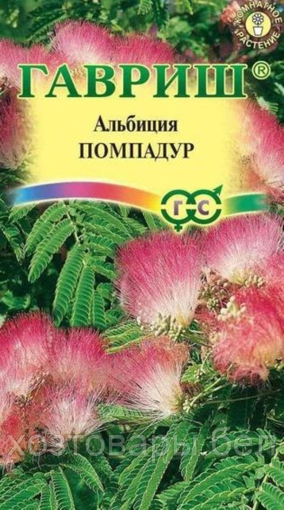 Альбиция Помпадур 3шт (Гавриш)