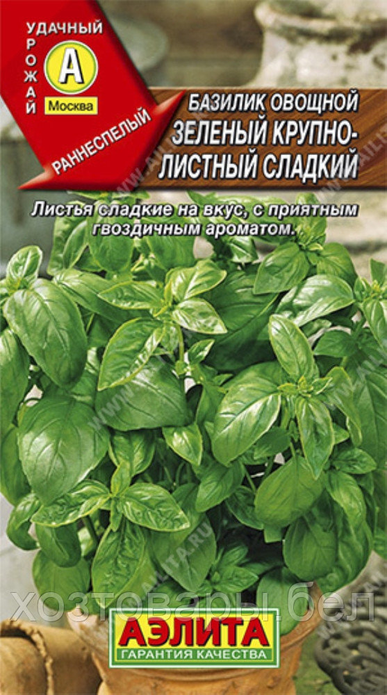 Базилик Зеленый крупнолистный 0.3г Ранн (Аэлита)
