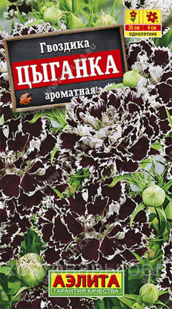 Гвоздика китайская Цыганка 0,05г Одн 35см (Аэлита)