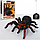 Радиоуправляемая игрушка Тарантул паук игрушечный детский радиоуправляемый радиоуправлении, пауки игрушки р у, фото 2