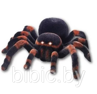 Радиоуправляемая игрушка Тарантул паук игрушечный детский радиоуправляемый радиоуправлении, пауки игрушки р у - фото 4 - id-p201637424