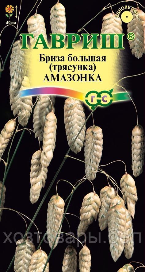 Бриза трясунка Амазонка 0,1г Злаковый сухоцвет Одн 40см (Гавриш)