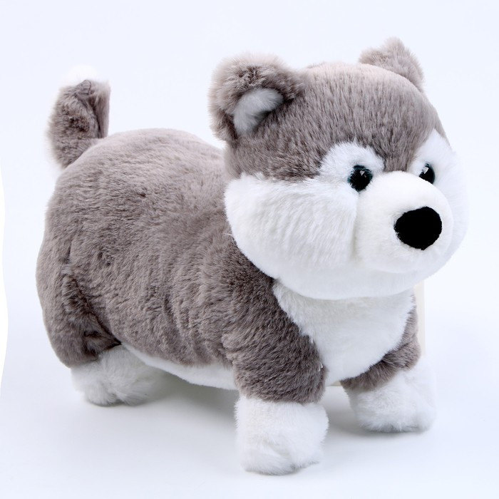 Мягкая игрушка «Хаски», размер 28 см, цвет серый - фото 1 - id-p201650366