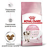 "Royal Canin" Kitten сухой корм для котят до 12 месяцев 300г, фото 2