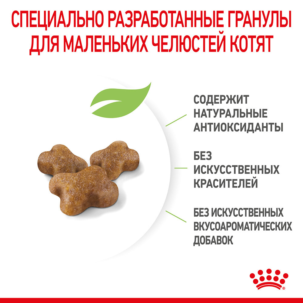 "Royal Canin" Kitten сухой корм для котят до 12 месяцев 300г - фото 3 - id-p201673976