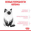 "Royal Canin" Kitten сухой корм для котят до 12 месяцев 300г, фото 4