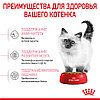 "Royal Canin" Kitten сухой корм для котят до 12 месяцев 300г, фото 5