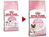 "Royal Canin" Mother & Babycat сухой корм в период первой фазы роста и отъема,беременных и кормящих кошек 2кг, фото 2