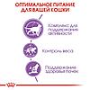 "Royal Canin" Sterilised 7+ сухой корм для взрослых стерилизованных кошек старше 7 лет 1,5кг, фото 5