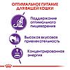 "Royal Canin" Sensible 33 сухой корм для взрослых кошек с чувствительной пищеварительной системой 400г, фото 5