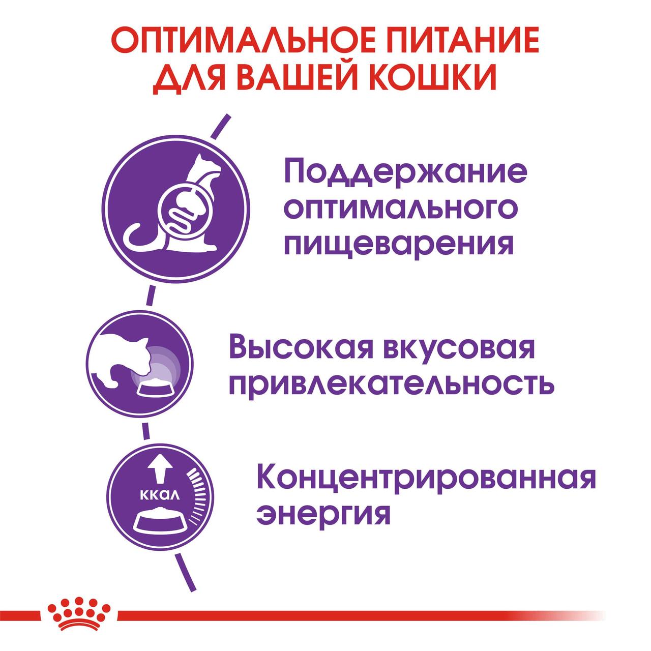 "Royal Canin" Sensible 33 сухой корм для взрослых кошек с чувствительной пищеварительной системой 400г - фото 5 - id-p201724179