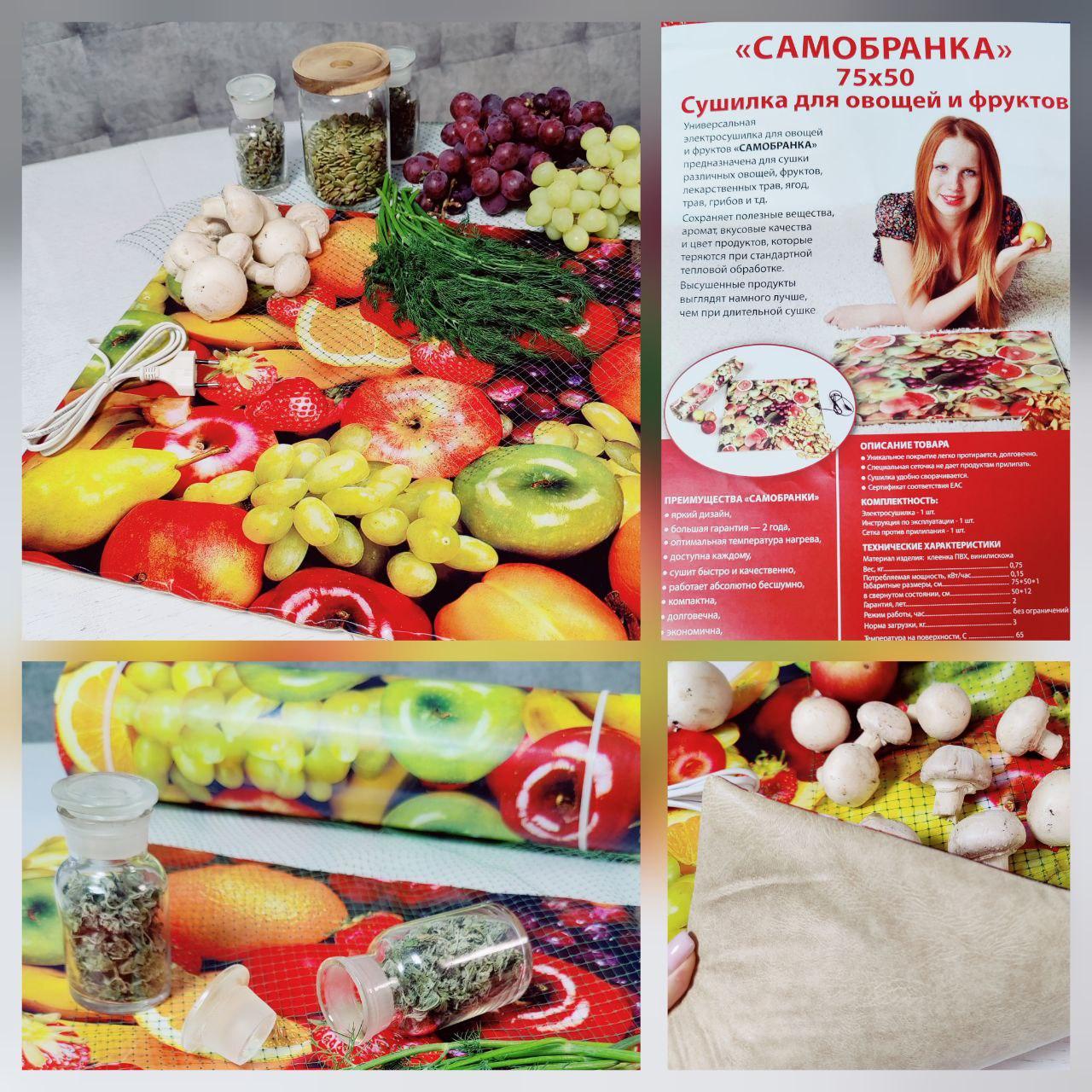 Электросушилка "Самобранка" 75*50 см (Сушка фруктов, овощей, ягод, трав, кореньев и корнеплодов, рыбы, грибов - фото 1 - id-p201741946