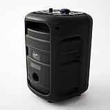 Портативная беспроводная bluetooth колонка  Eltronic CRAZY BOX 100 Watts  арт. 20-30 с проводным микрофоном и, фото 4