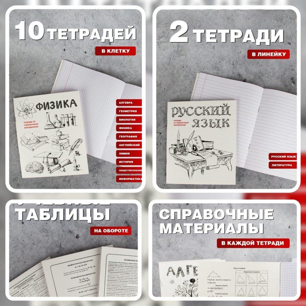 Комплект предметных тетрадей 12 шт. со справочными материалами, 48 листов (алгебра, геометрия, биология, - фото 9 - id-p201742859