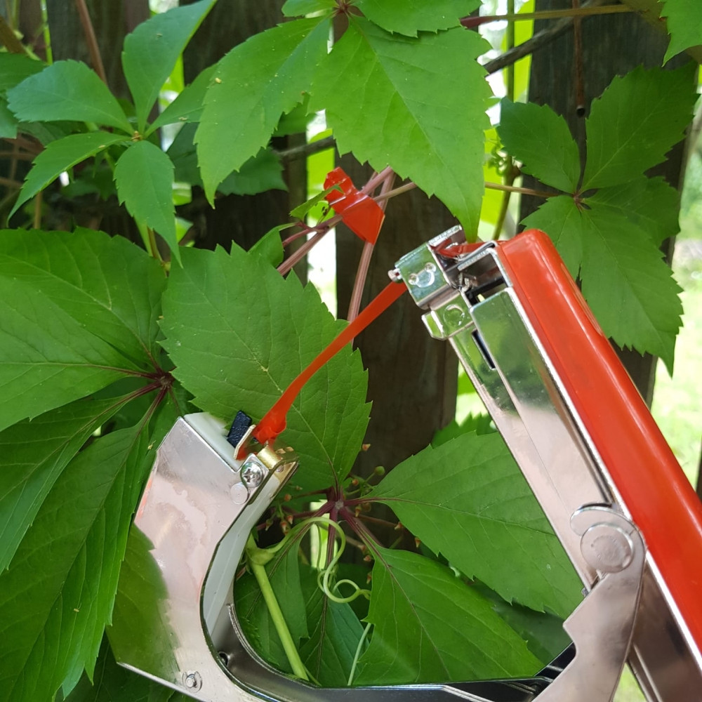 Степлер - подвязчик растений к опоре Tapetool (тапенер) Зеленый - фото 3 - id-p201781388