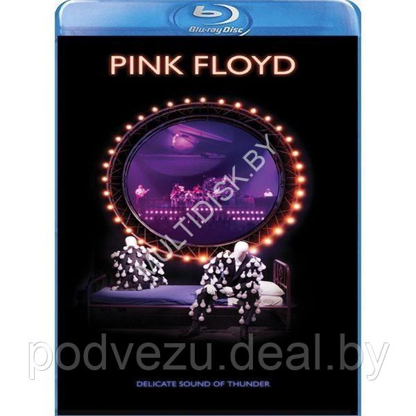 Pink Floyd - Delicate Sound Of Thunder (1988) (BLU RAY)