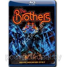 The Brothers - (The Allman Brothers Band) March 10, 2020/Madison Square Garden (Blu-ray)