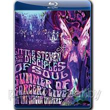 Little Steven and the Disciples of Soul - Summer of Sorcery Live! At the Beacon (2021) (Blu-ray)