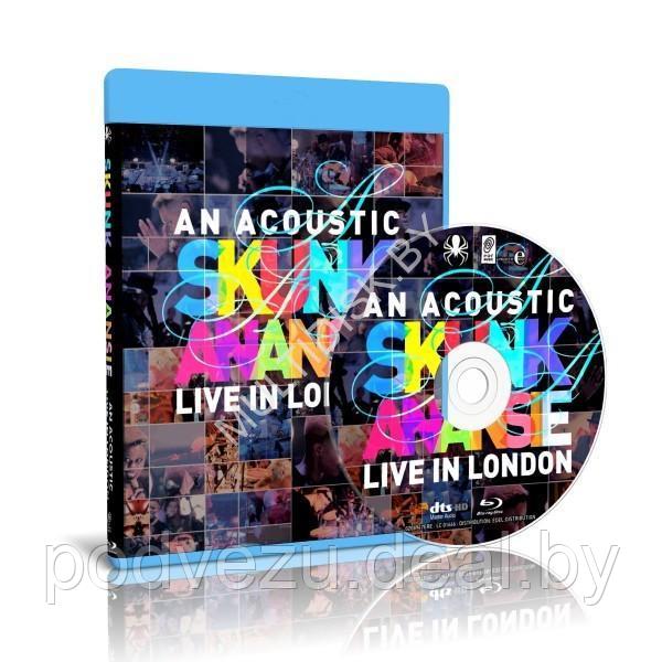 Skunk Anansie – Live In London An Acoustic (2013) (Blu-ray)
