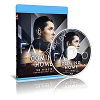 Falco Tribute Concert - Coming Home / In Memories Of Falco / Концерт Памяти Певца Falco (2017) (Blu-ray)