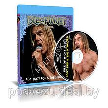 Iggy Pop - Live at Isle Of Wight Festival (2011) (Blu-ray)