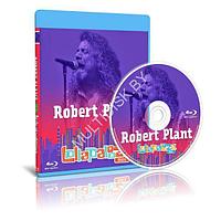 Robert Plant - Lollapalooza (2015) (Blu-ray)