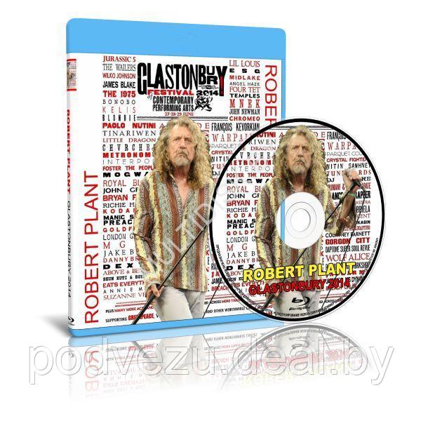Robert Plant - Live at Glastonbury (2014) (Blu-ray) - фото 1 - id-p193933614