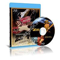 ZZ Top - Stagecoach / California's Country Music Festival (2015) (Blu-ray)