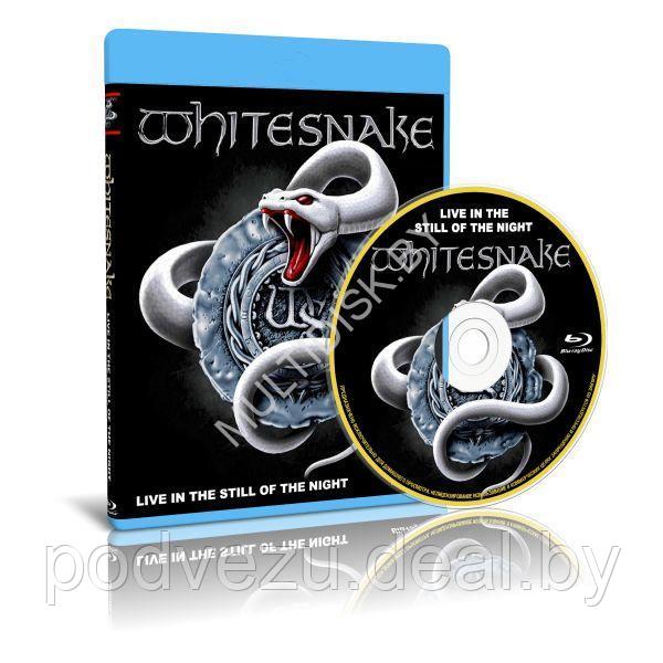 Whitesnake - Live in The Still of the Night (2006) (Blu-ray) - фото 1 - id-p194034077