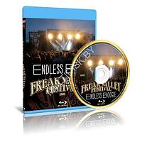 Endless Boogie - Live at Freak Valley Festival (2022) (Blu-ray)