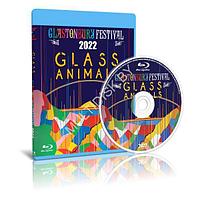 Glass Animals - Live at Glastonbury Festival (2022) (Blu-ray)