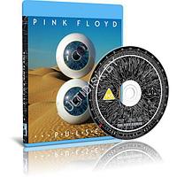 Pink Floyd - P. U. L. S. E. (2022) (2 Blu-ray)