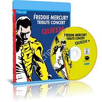 Freddie Mercury - The Freddie Mercury Tribute Concert for AIDS Awareness (1992) (Blu-ray)