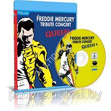 Freddie Mercury - The Freddie Mercury Tribute Concert for AIDS Awareness (1992) (Blu-ray)